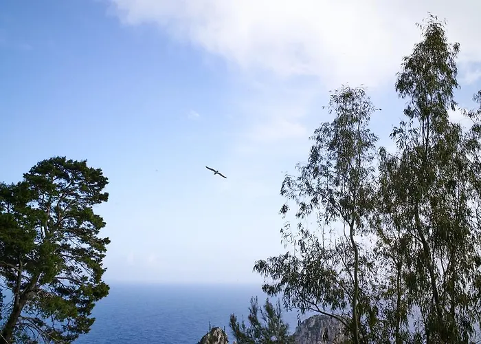 Villacore Отель типа 