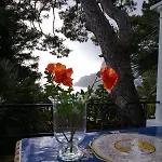 Villacore Bed & Breakfast Capri