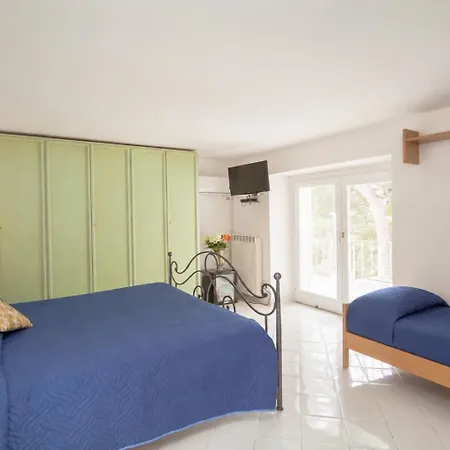 Villacore